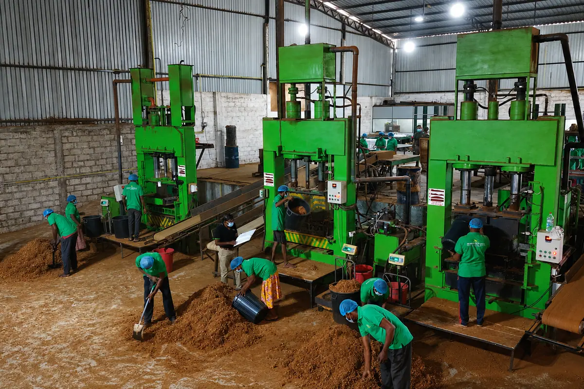 Wide view of the Go Green Exports press line with operators working alongside three compression presses